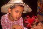 The Iban boy, Sean, admiring Etlingera nasuta, Sarawak, Borneo
